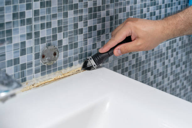 Best Basement Mold Remediation in Morgantown, PA